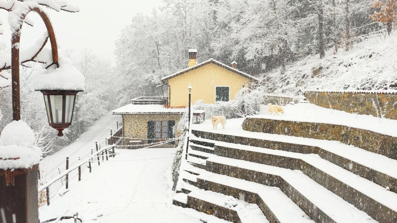 La Casa Del Sarto - Federicofarm Villa Pontremoli Oda fotoğraf